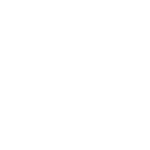 certificate icon