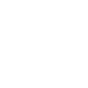 government
